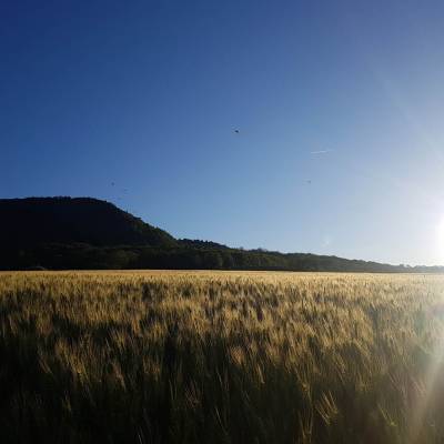 coucher de soleil saint sandoux